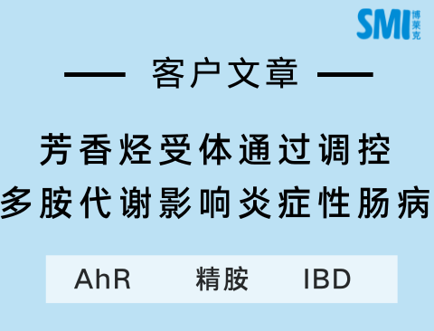 客戶(hù)文章丨Theranostics多胺與